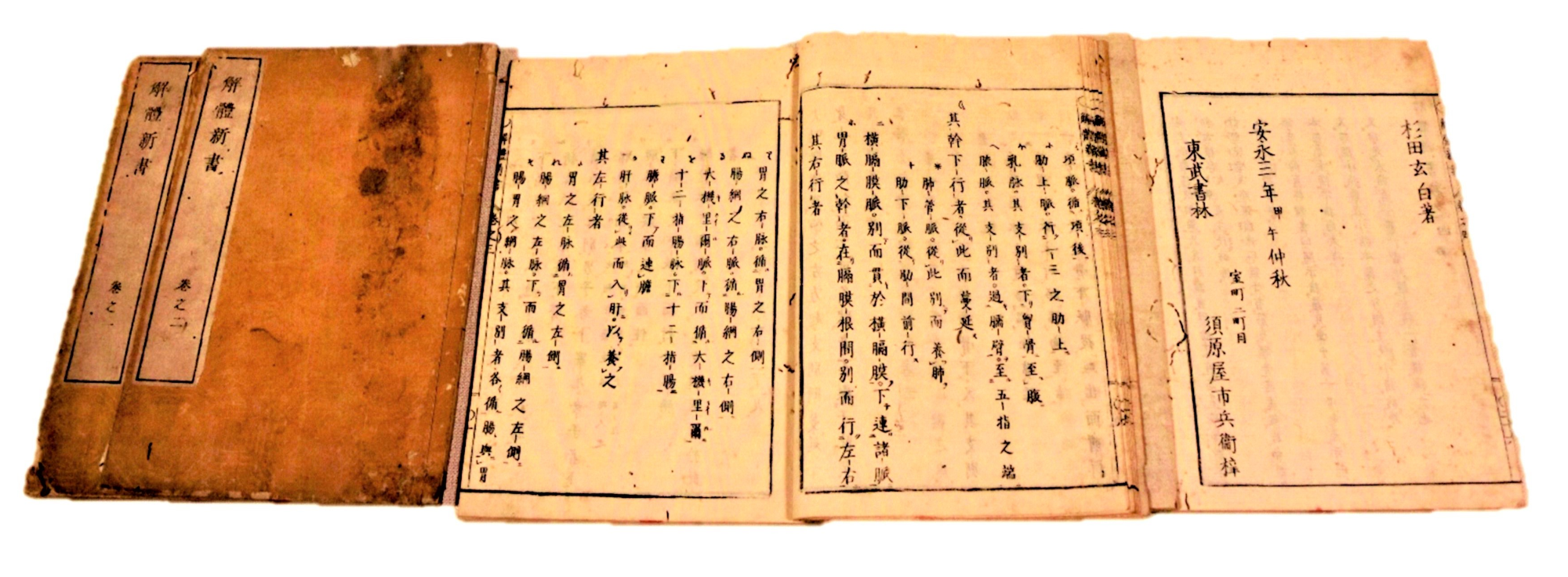解体新書