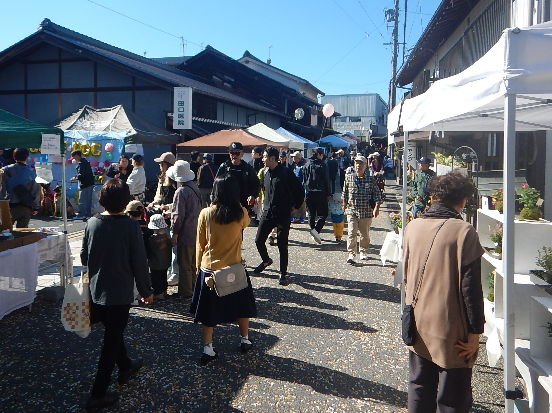 商店街がお客さんでにぎわう様子
