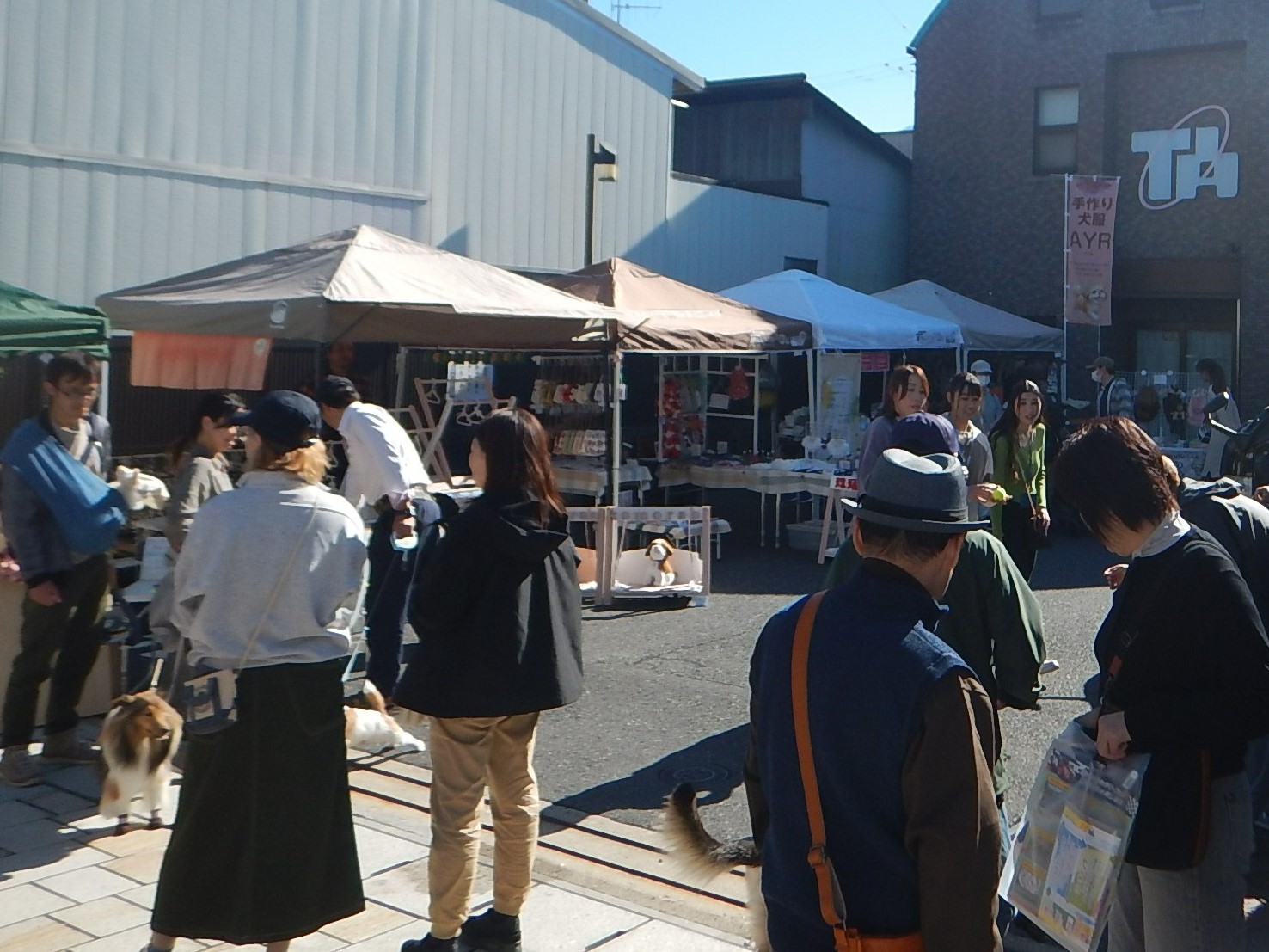 ペット連れのお客さんでにぎわう本町商店街の様子