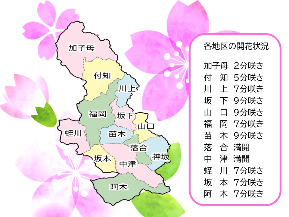 令和7年4月9日時点市内の桜開花状況