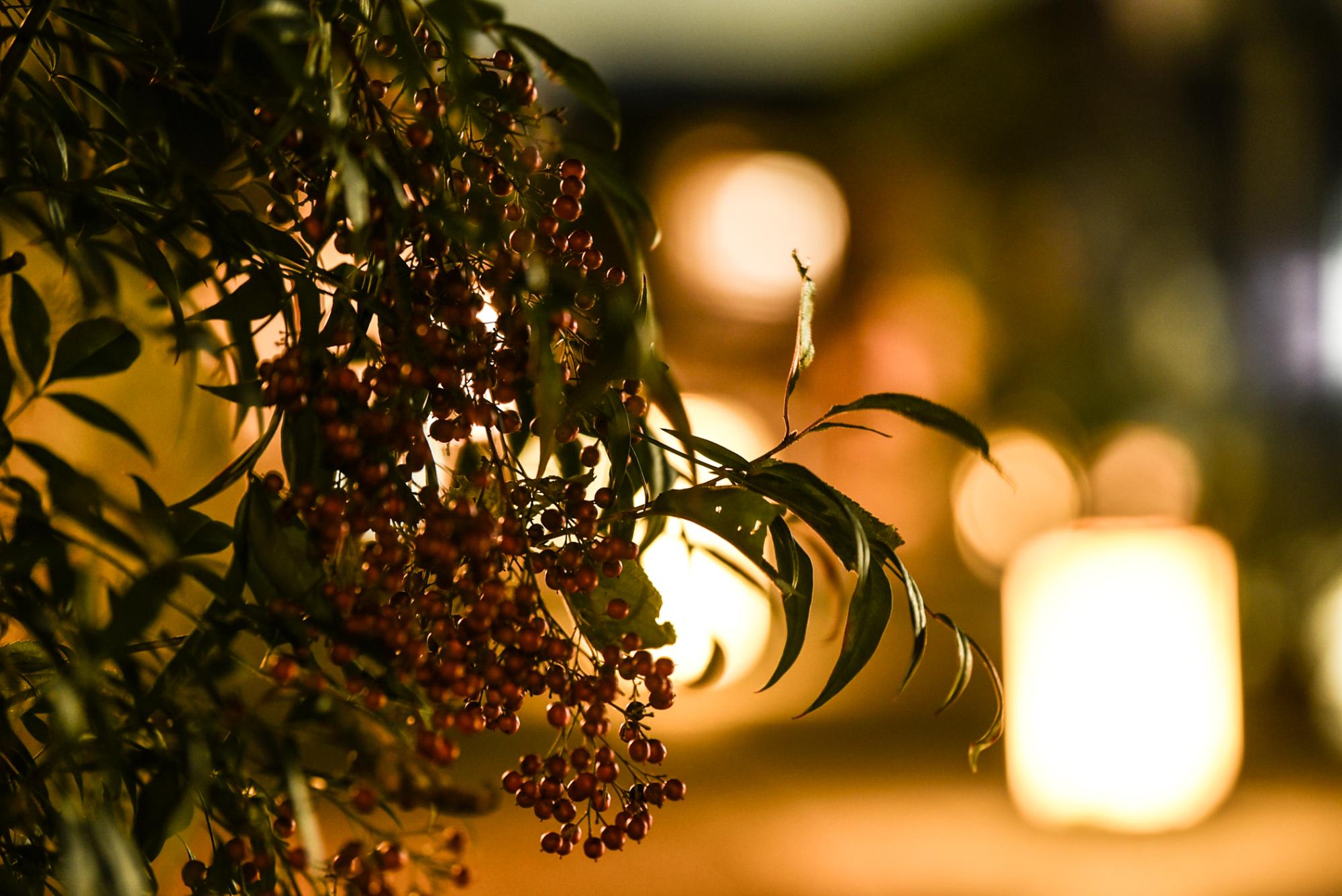 あかり街道の様子