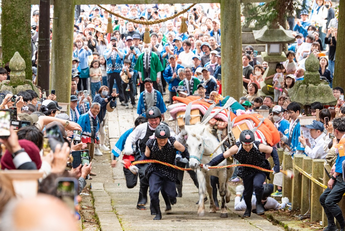 迫力満点の花馬の駆け上がり