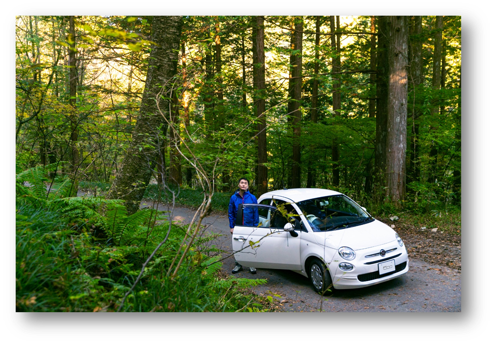 FIATが森の中で停まっています