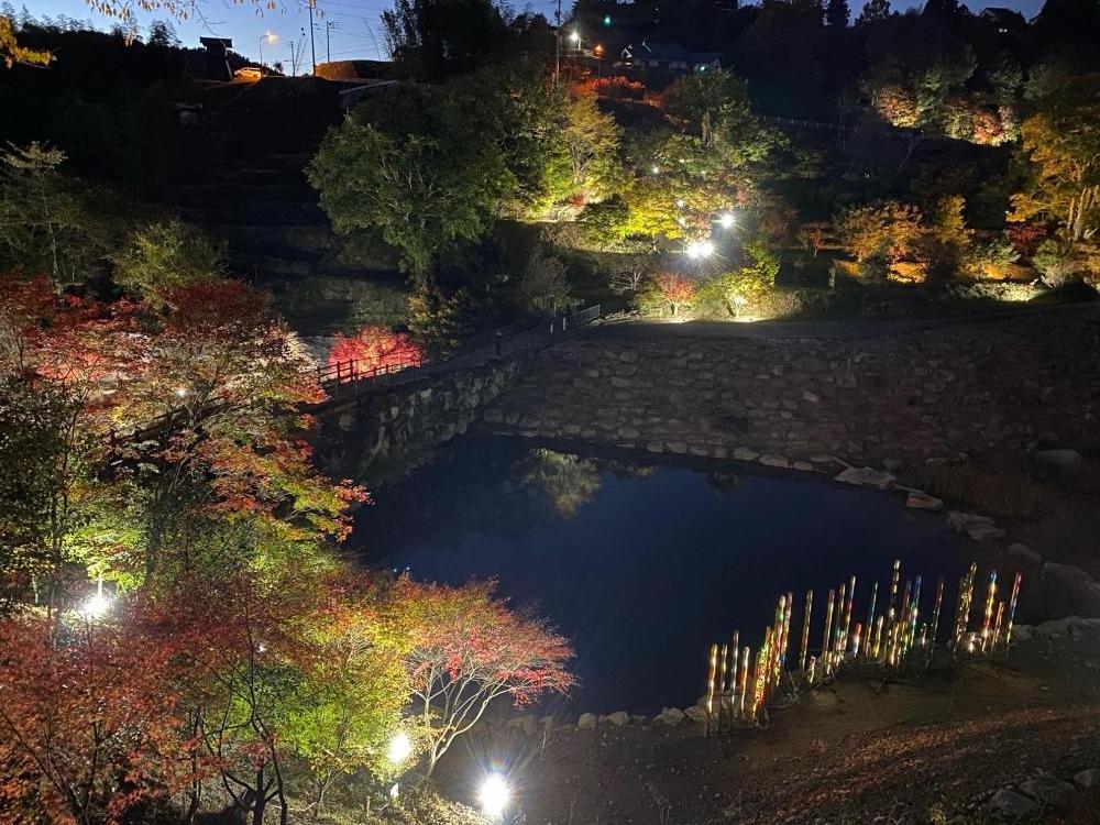 島田公園のライトアップ(2022年11月6日撮影)