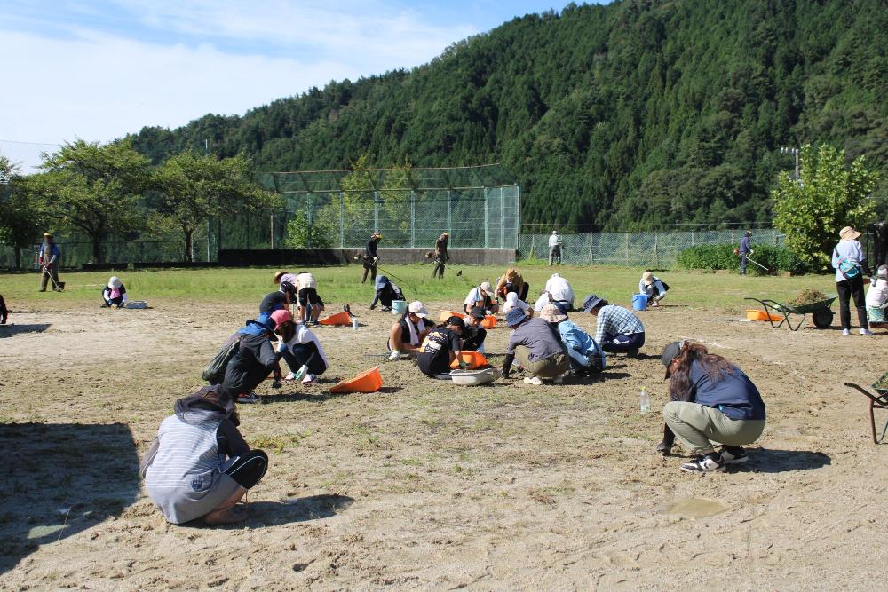 草取りの様子