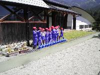 あさがお栽培2