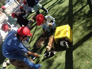 1年生生活科見学1