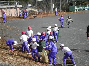 落ち葉拾い1