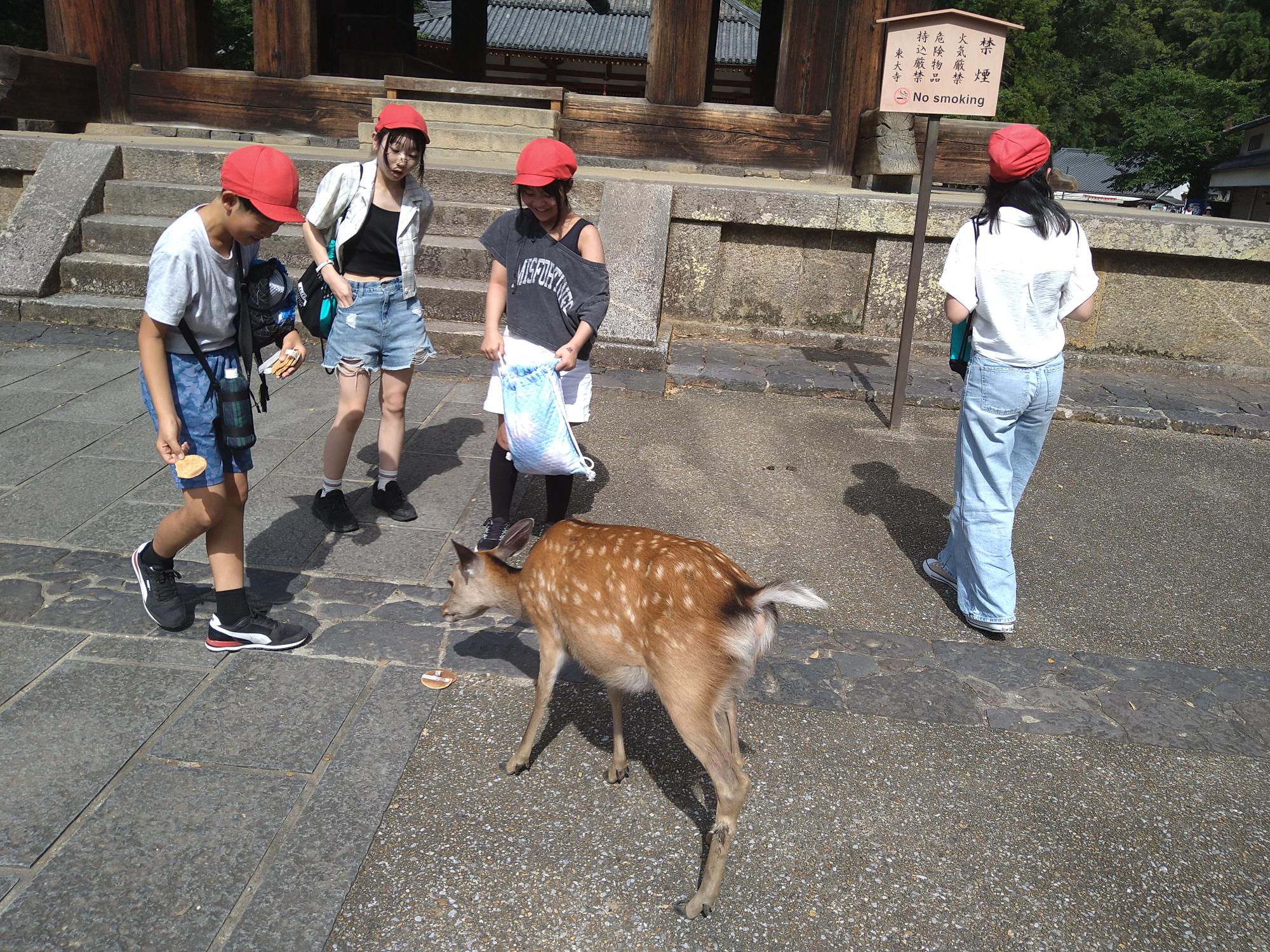 修学旅行