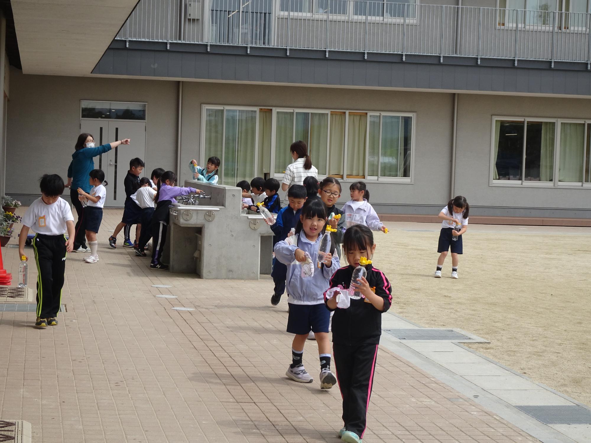 水やり