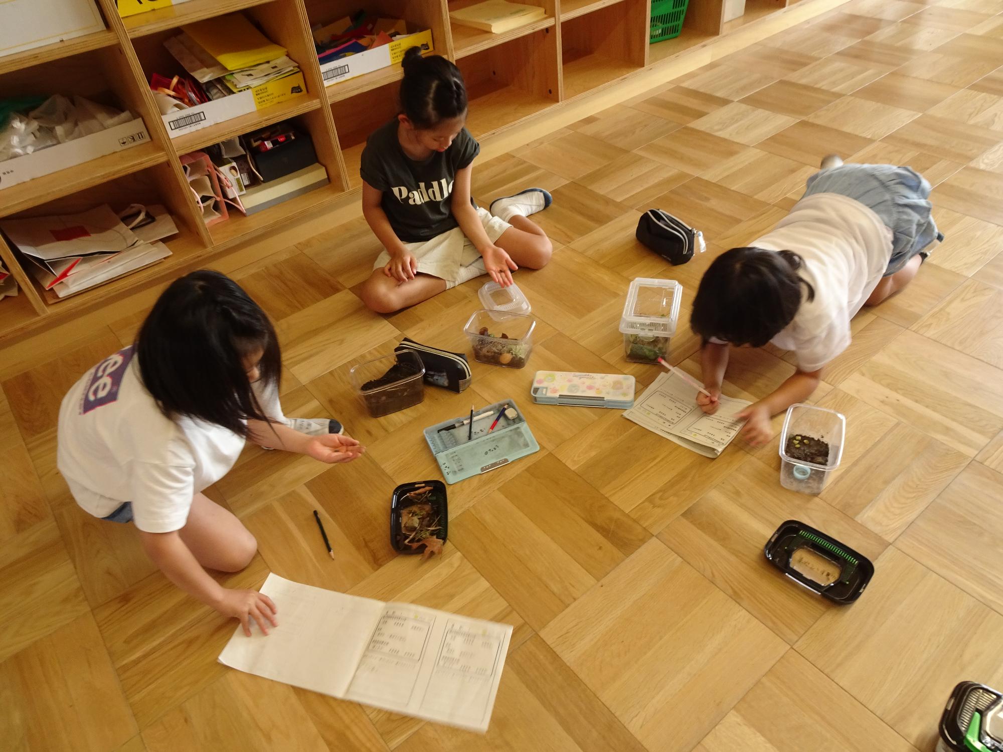 虫の観察をする子ども
