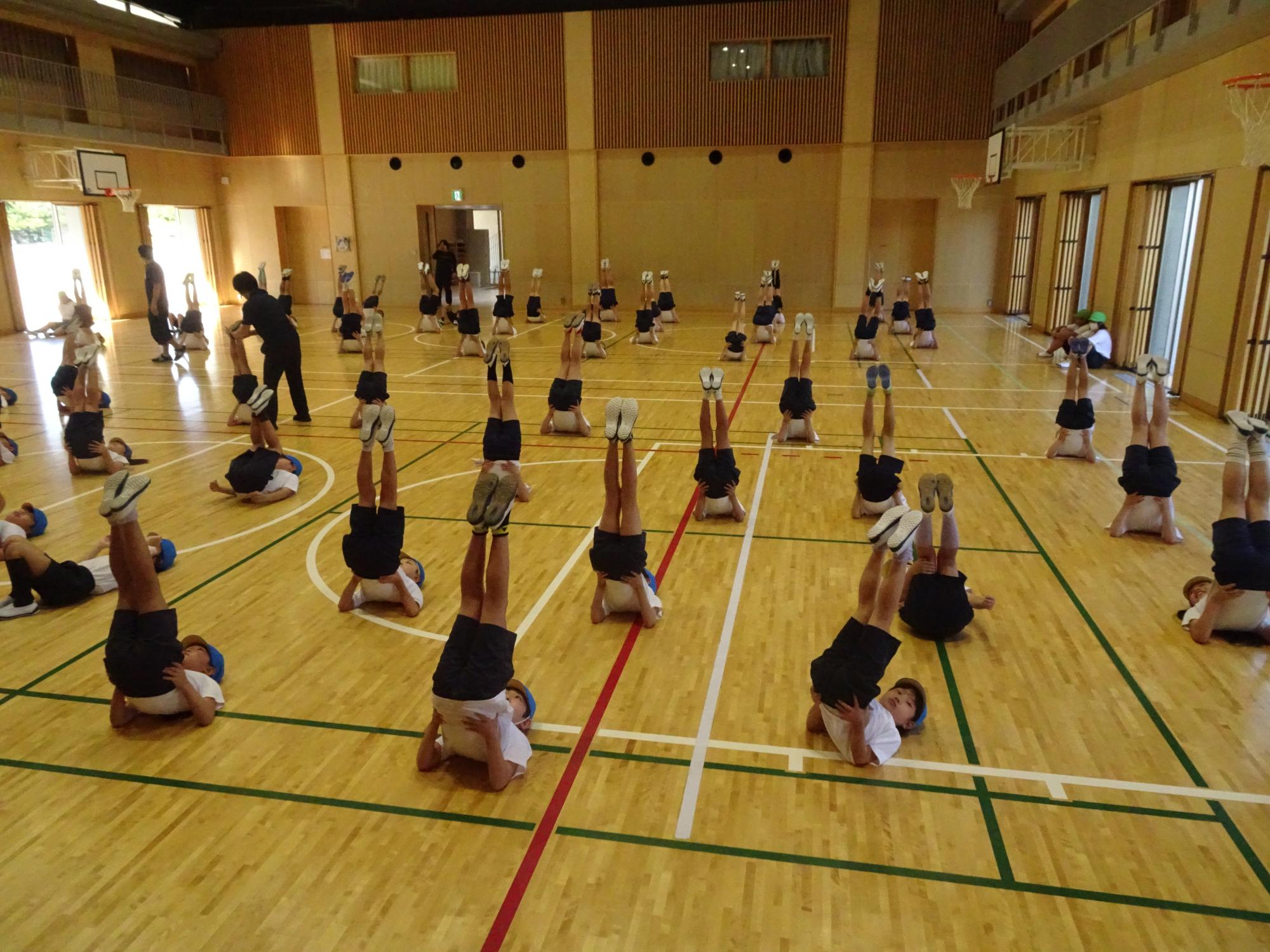 体操をする子どもたち