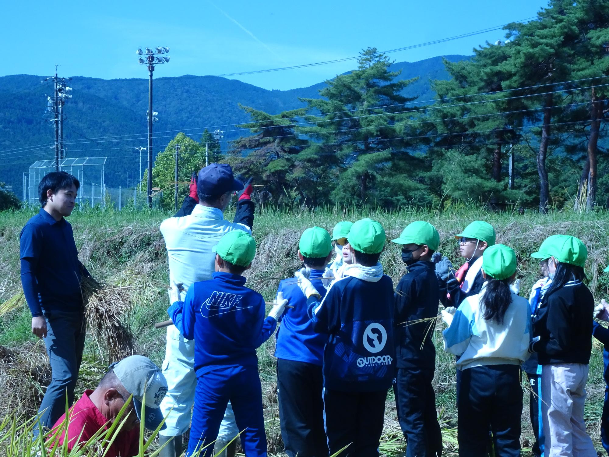 稲の束ね方を習う子どもたち