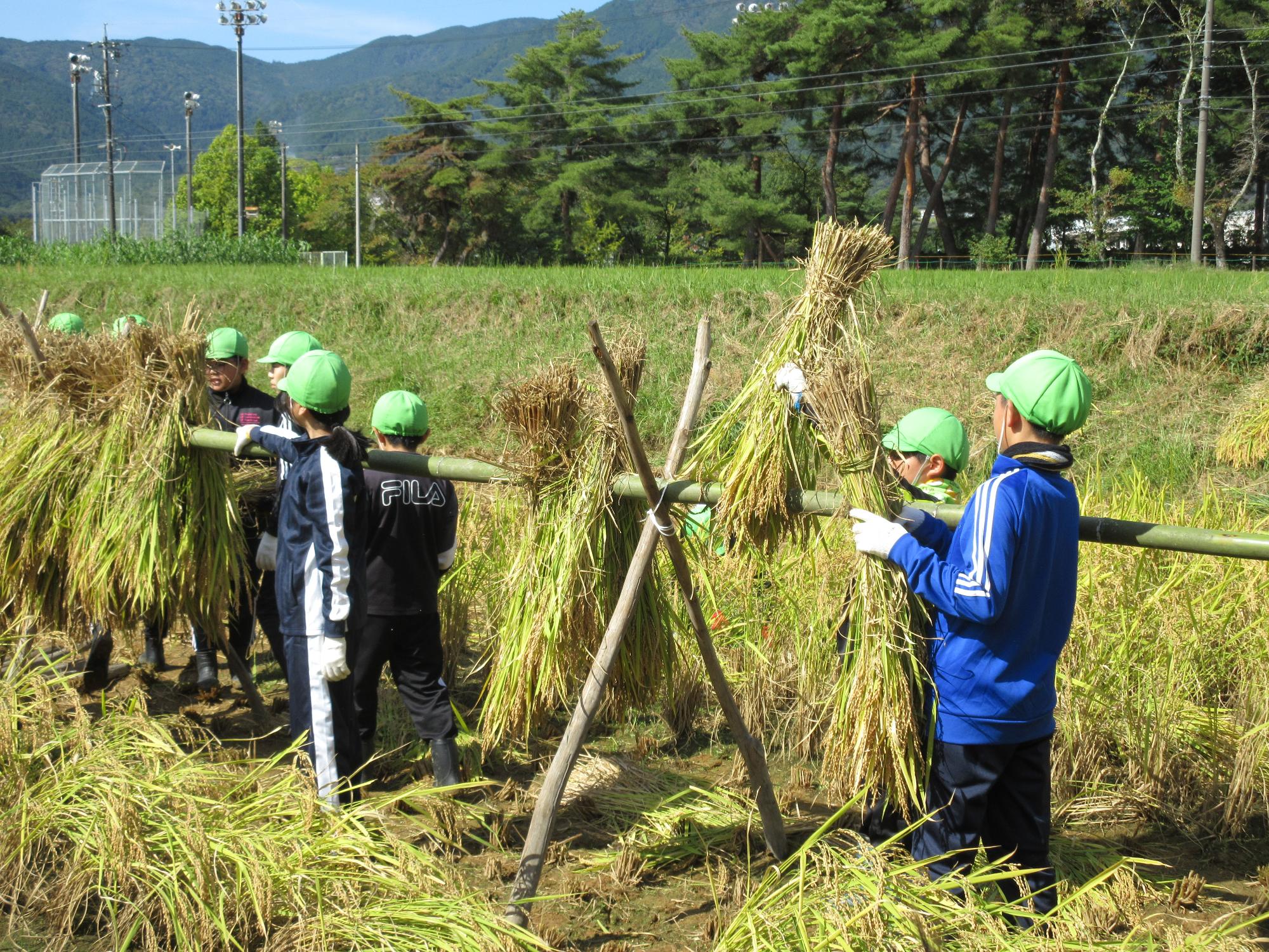 はざかけをする子ども