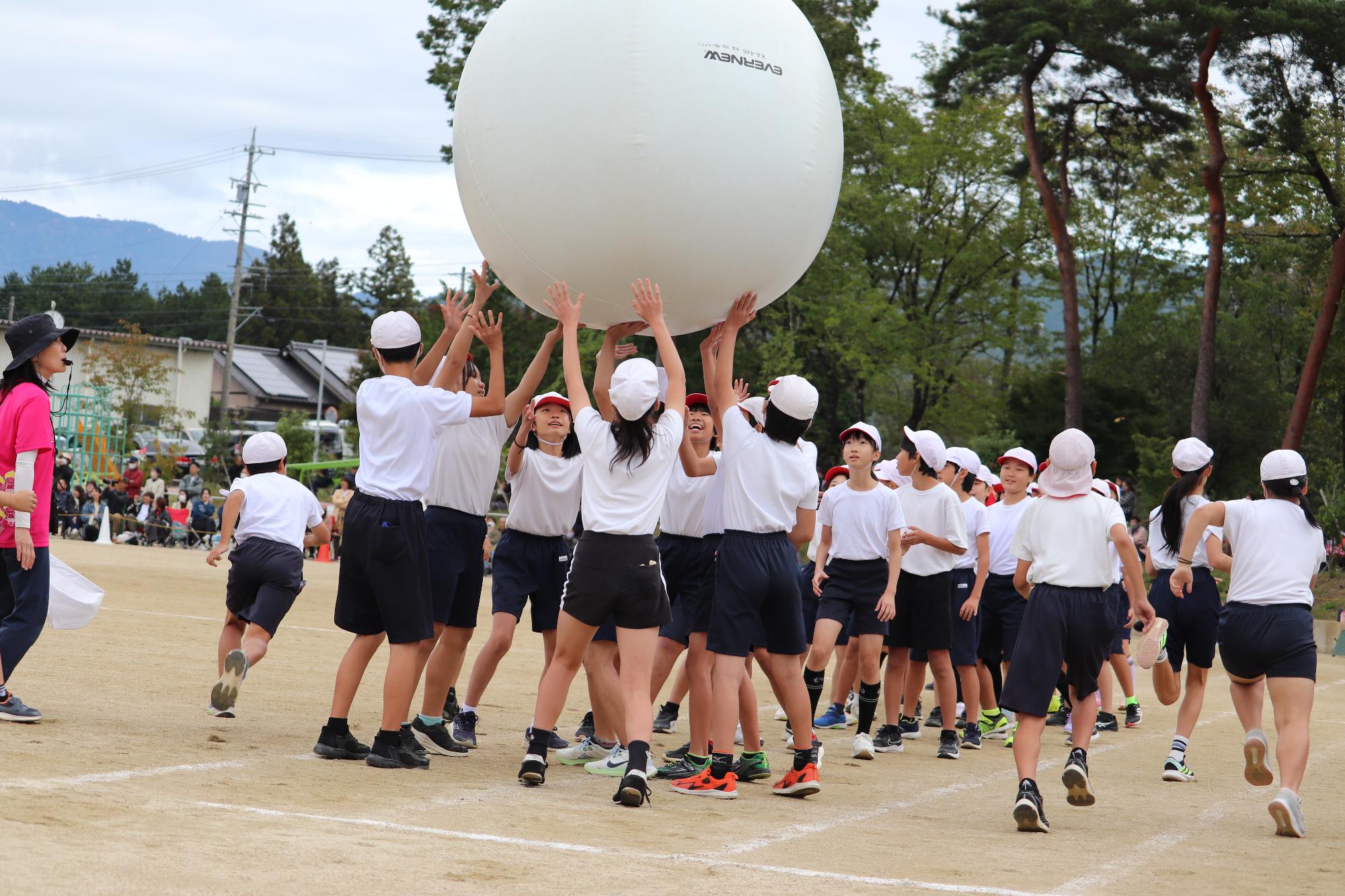 大玉運びをする白団