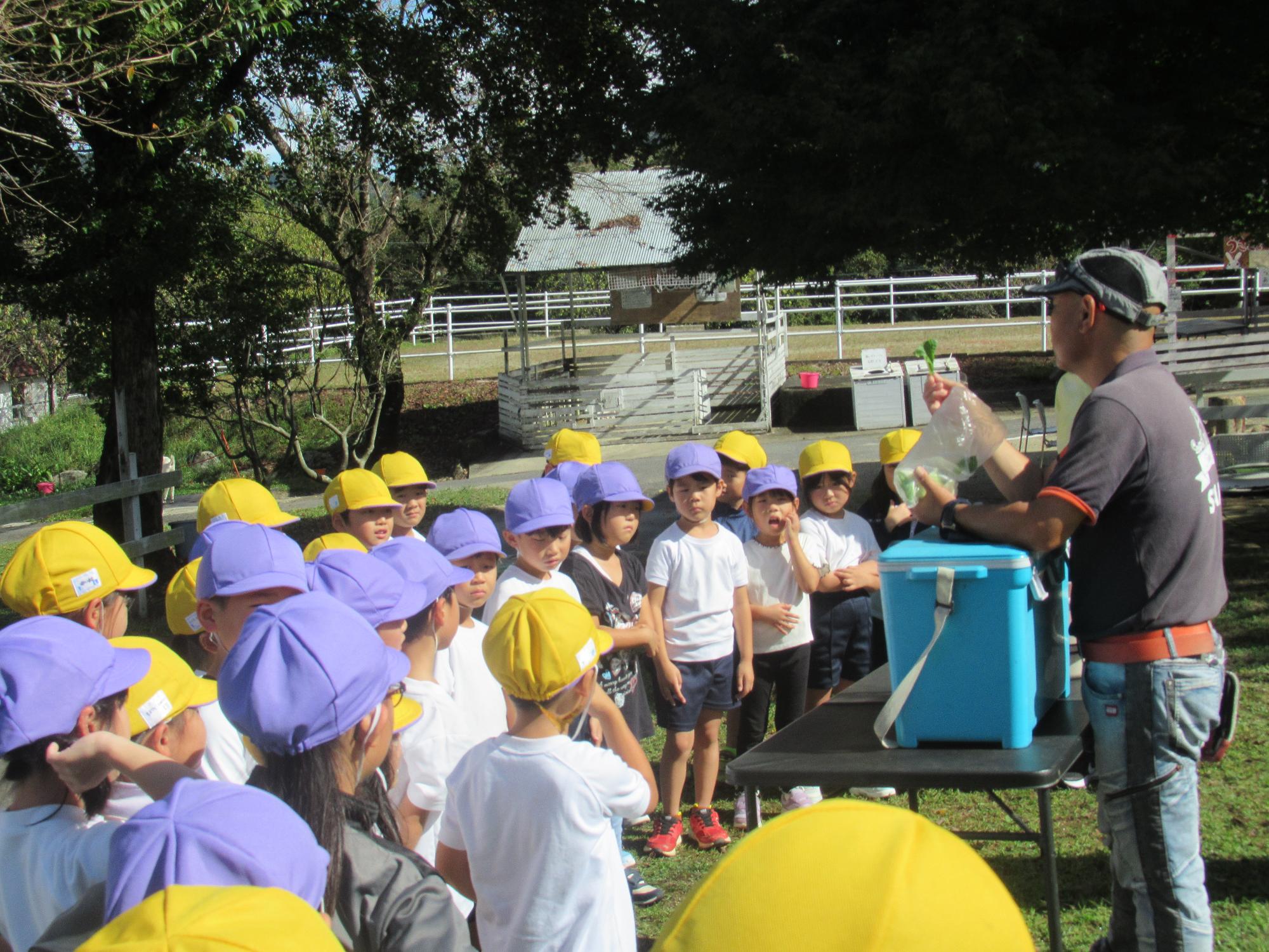 ブドウ園で話を聞く子