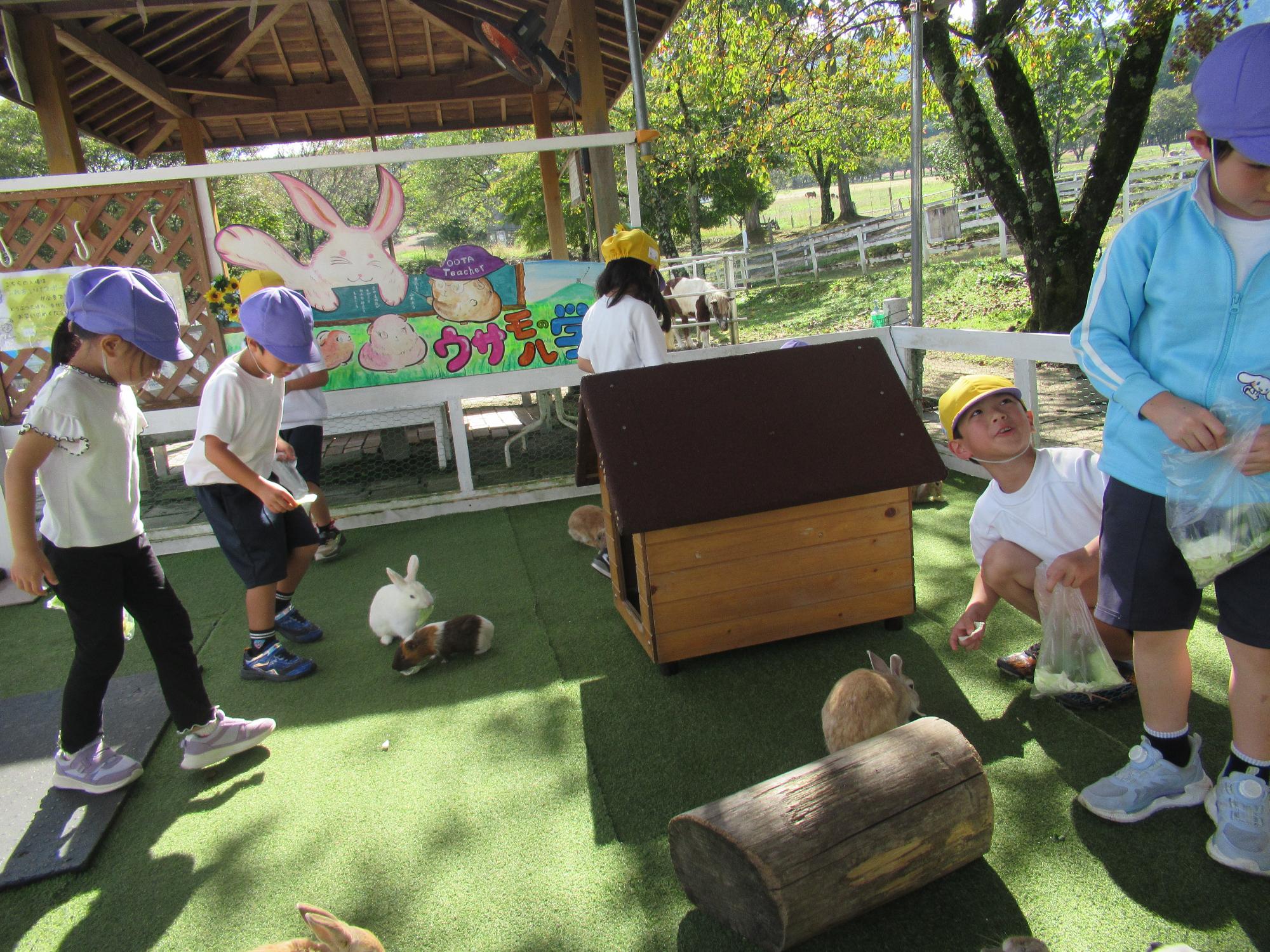 ウサギと遊ぶ子