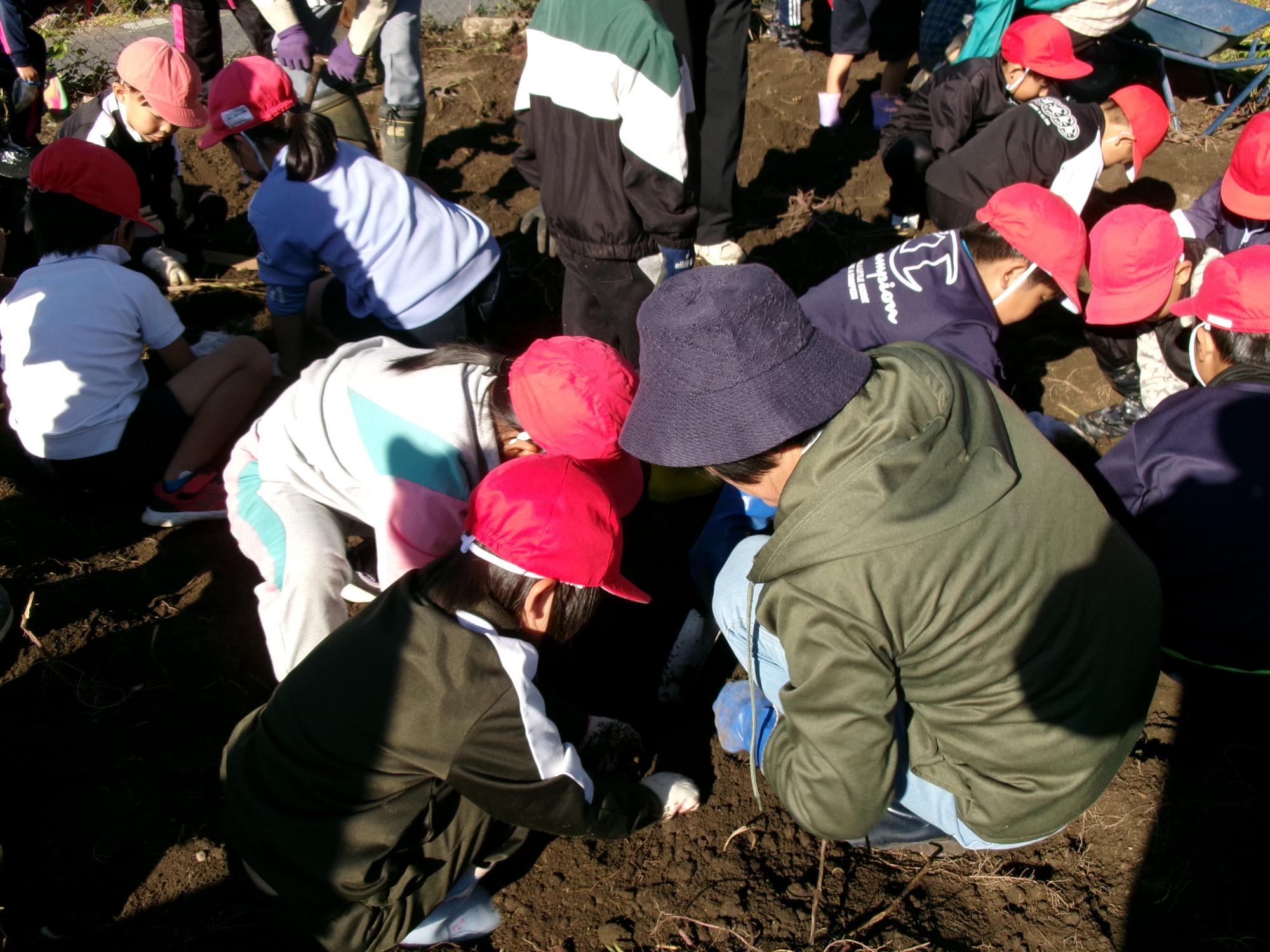 みんなでホリホリ