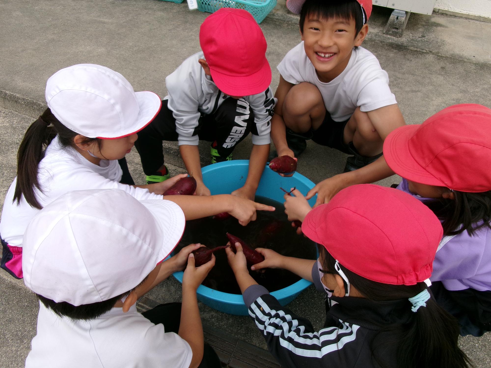 芋を洗って準備