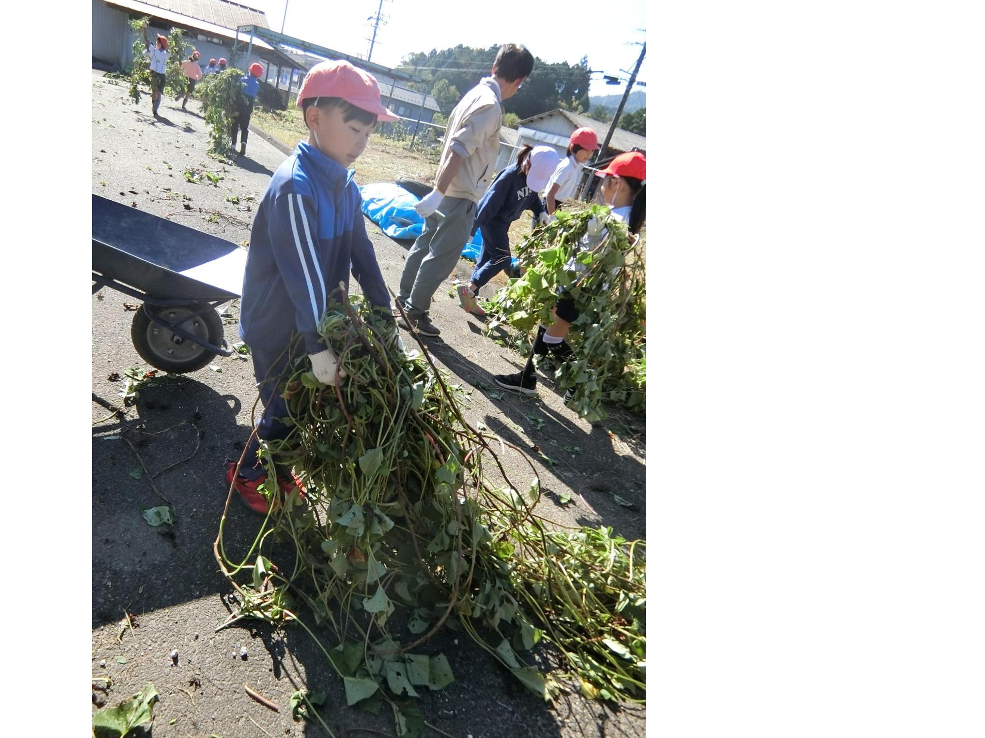 つるをひっぱります