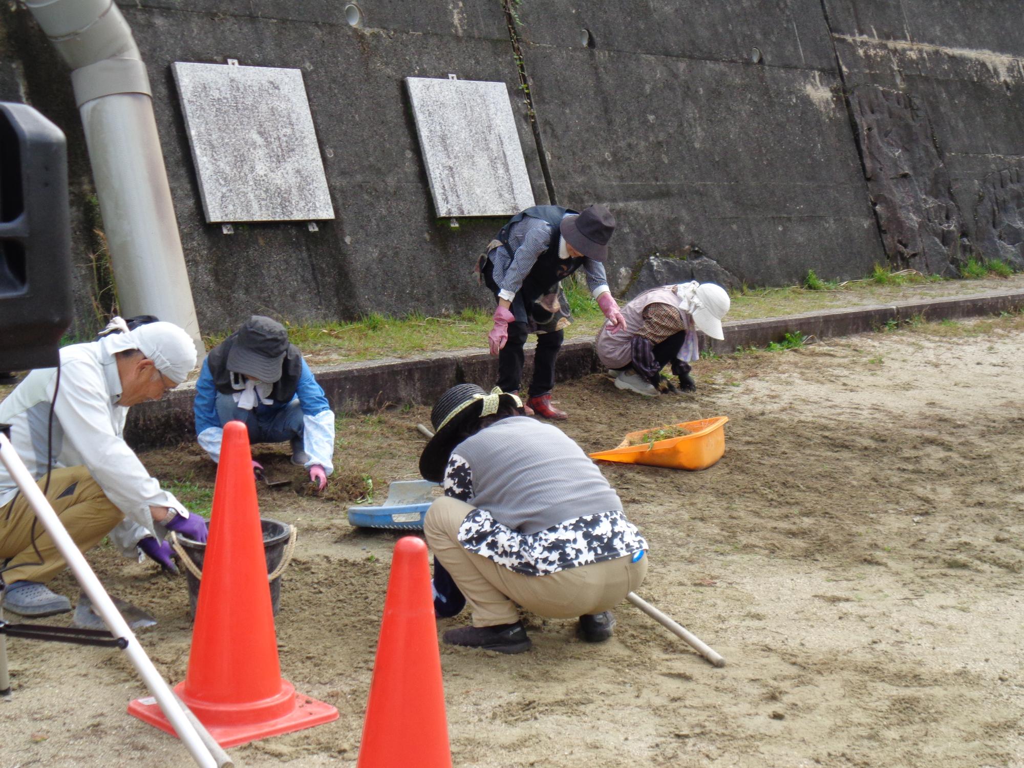 運動会前に草取りを