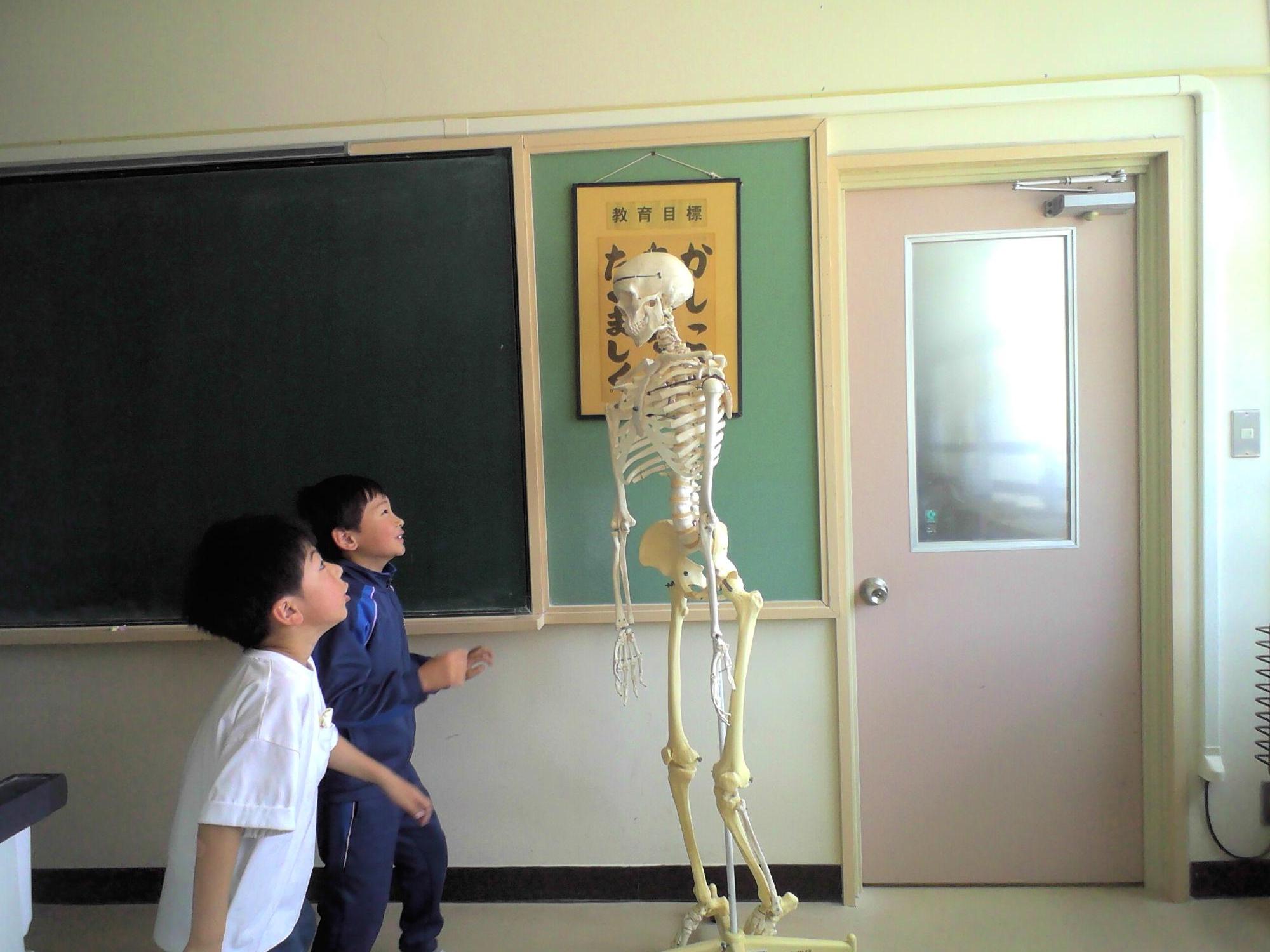 理科室で