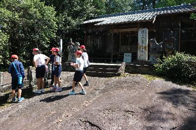 神社の境内を散策