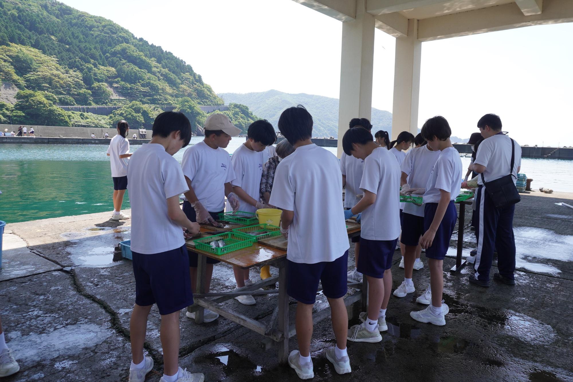 干物つくりの様子