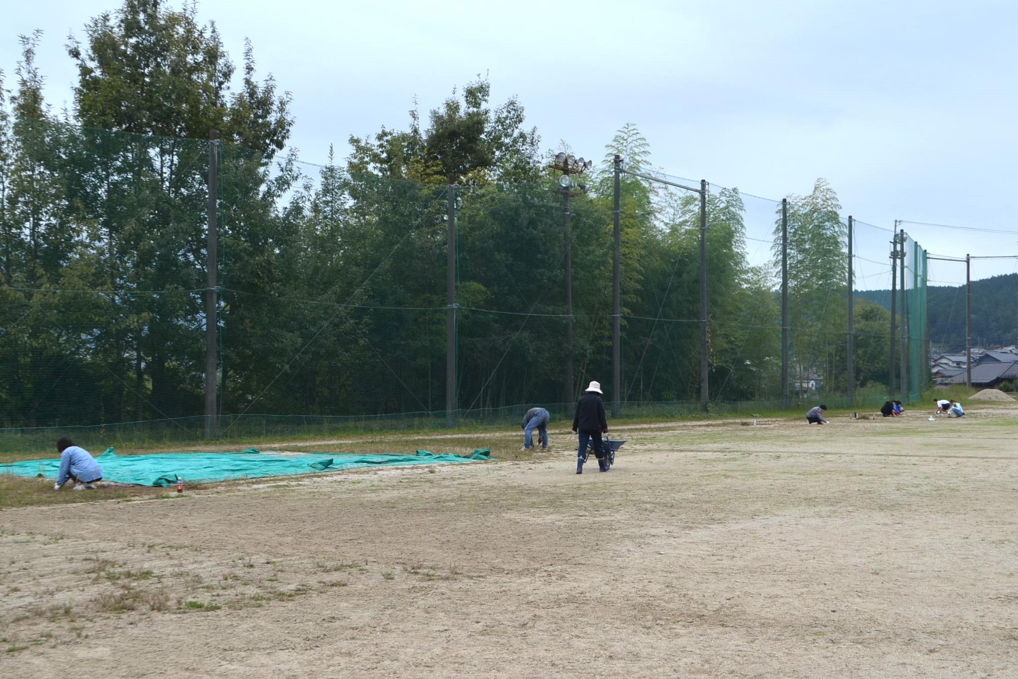 作業の様子