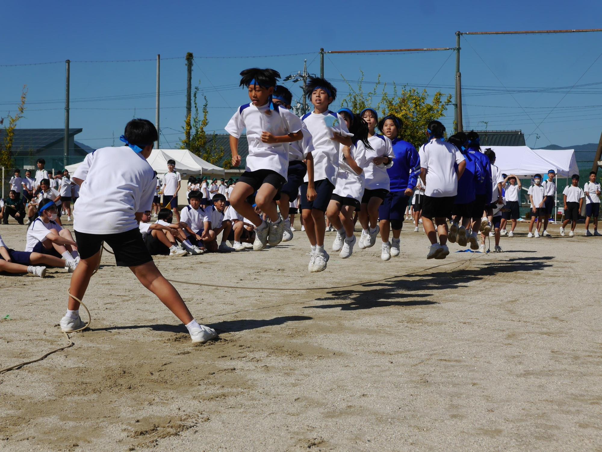 体育大会大縄跳びの様子 青団