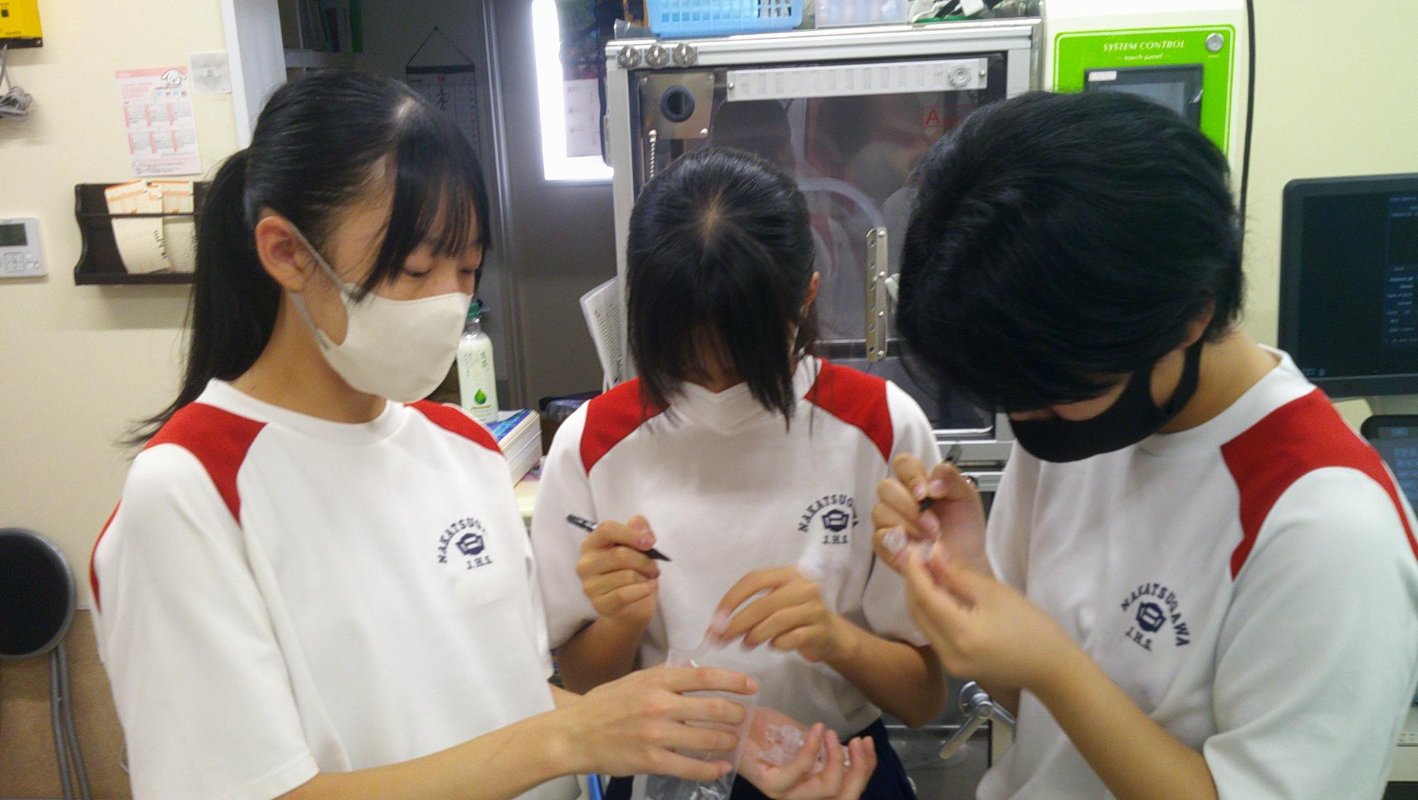 職場体験学習の動物病院での活動の様子