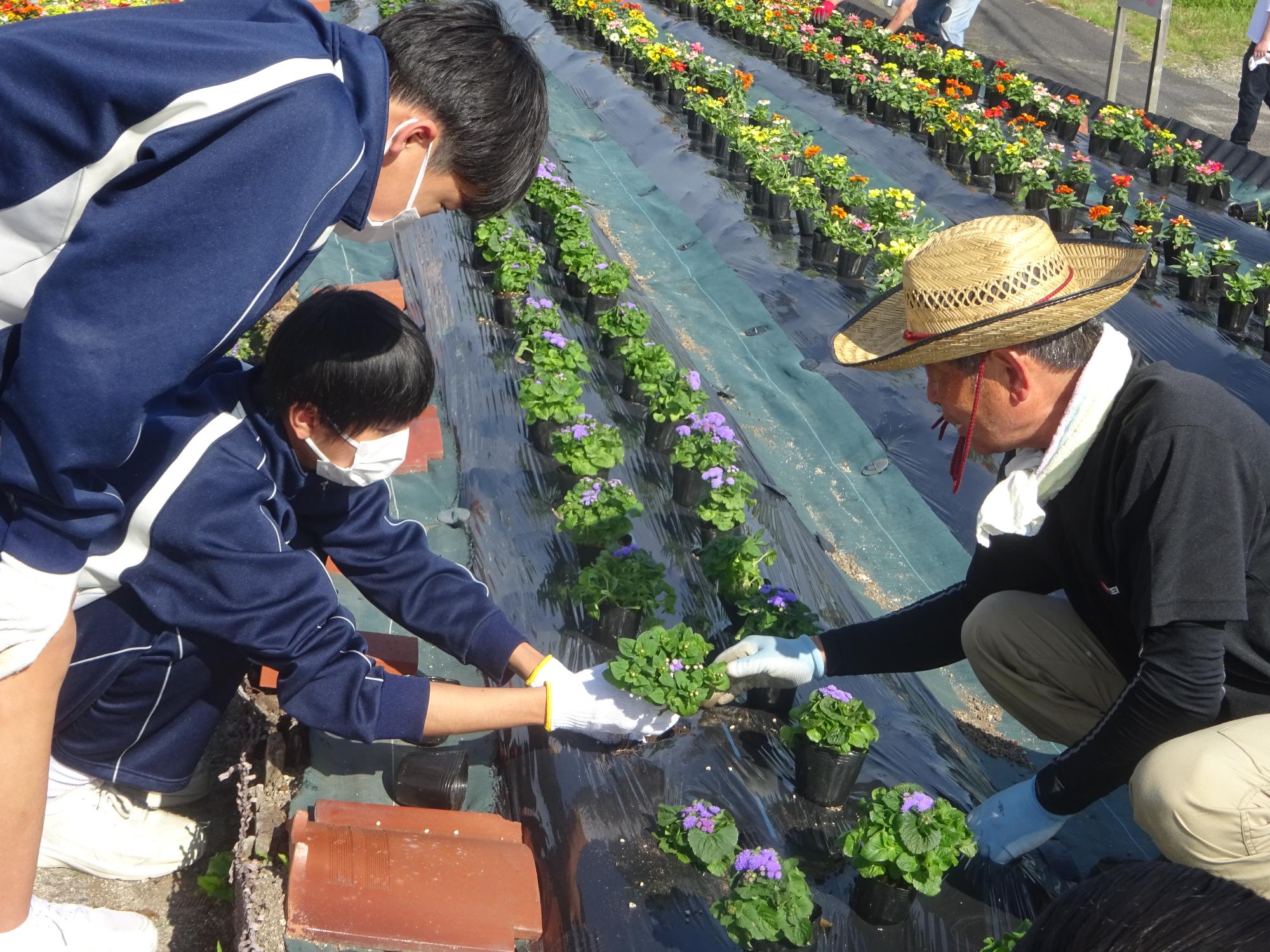 地域の方に教わりながら花を植える生徒