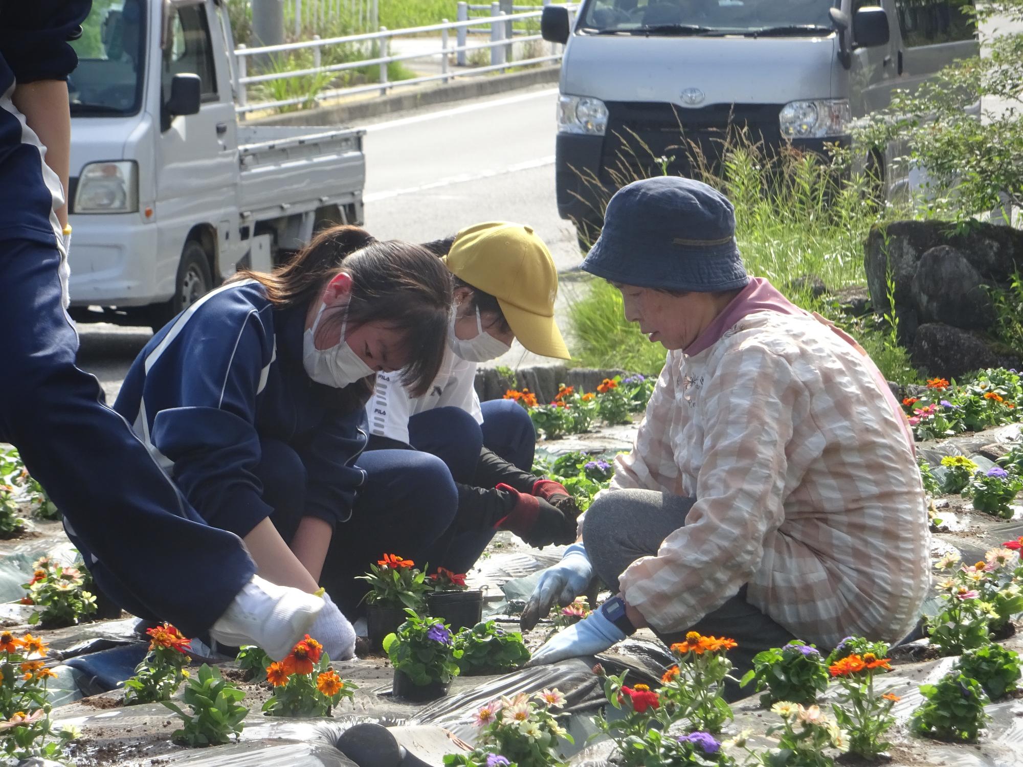 地域の方とお話しながら花を植える生徒