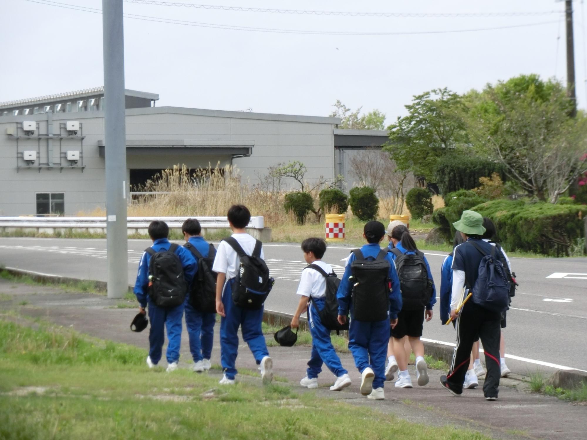 グループでのウオーキングの様子