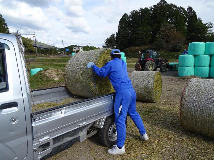 農事組合で仕事をする生徒