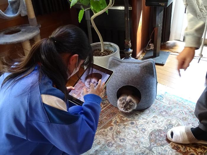 写真スタジオで仕事をする生徒