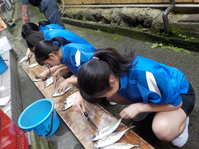民宿で干物づくりをする2年生女子