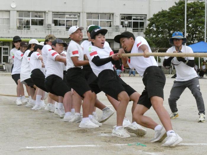 選択種目の綱引きで力を合わせて綱を引く生徒たち