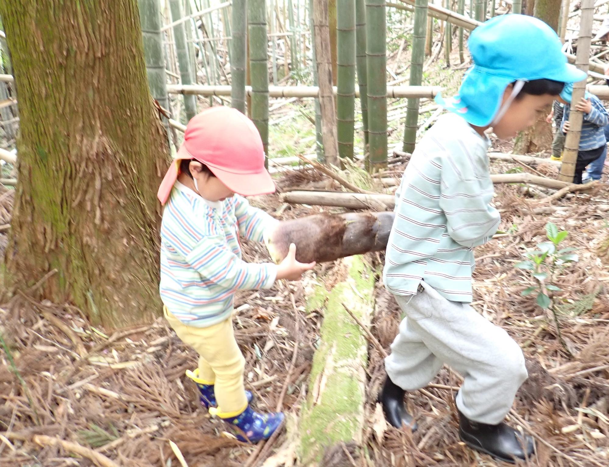 子供がたけのこを二人で運んでいる