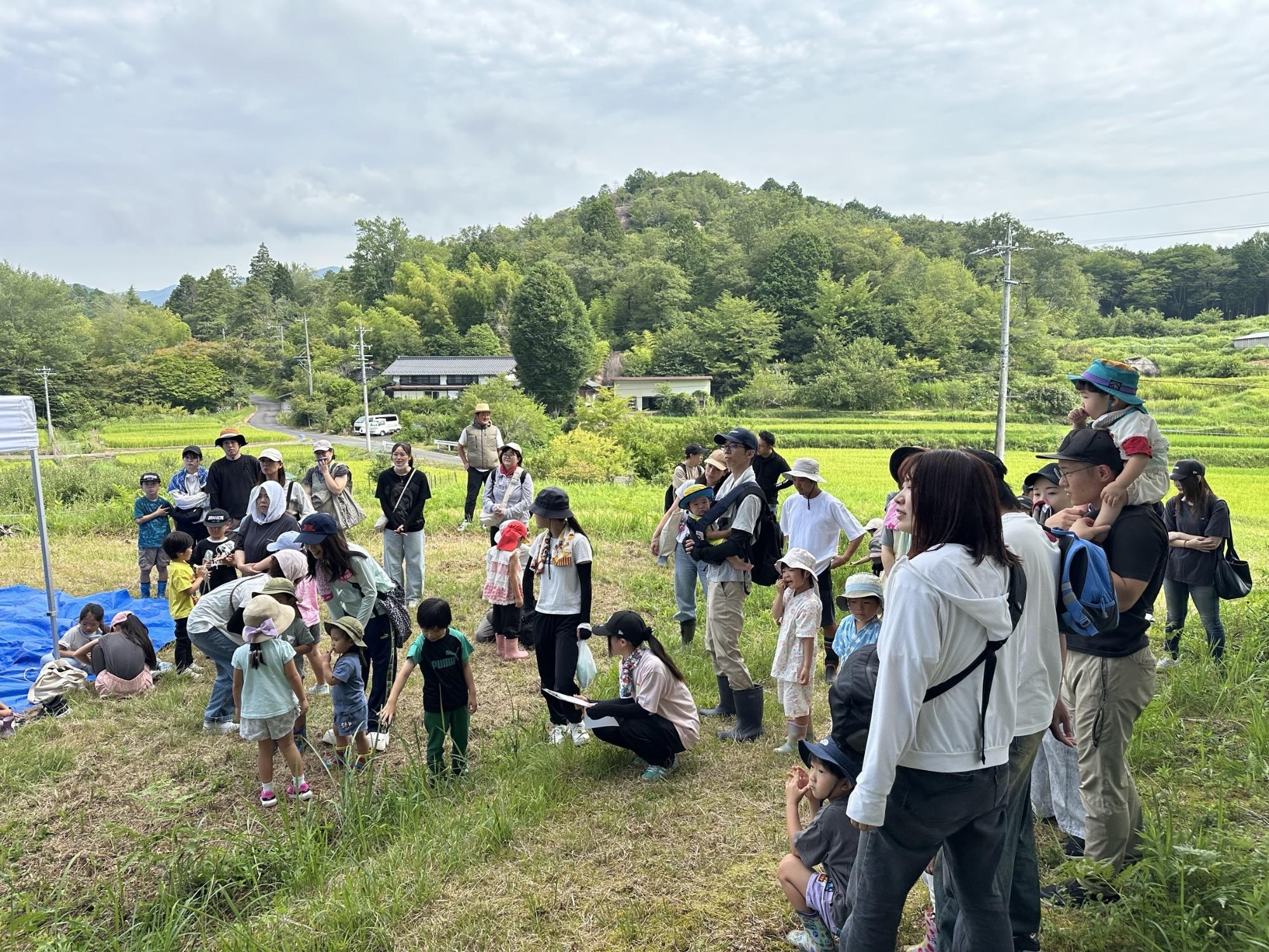 お家の人とブルーベリー狩り