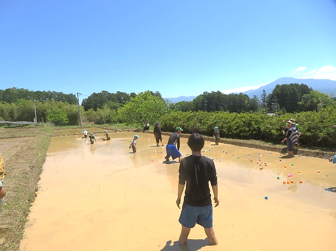 どろんこ遊びの様子