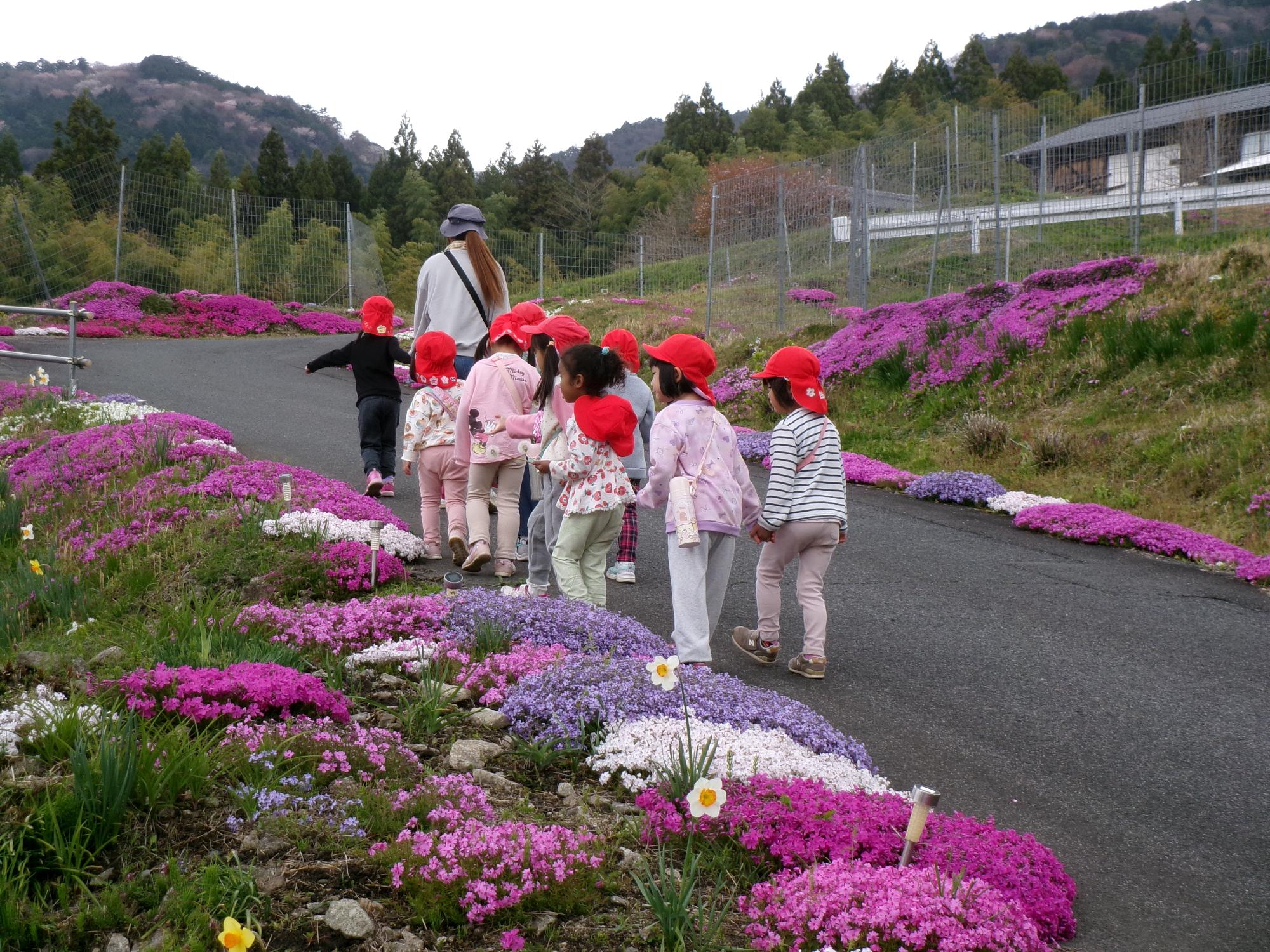 春の散歩道
