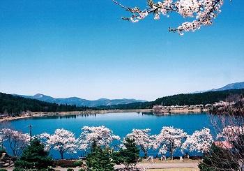 椛の湖の風景