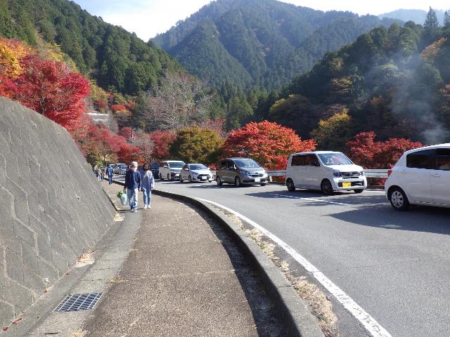 夕森渓谷のもみじイベントの様子その2