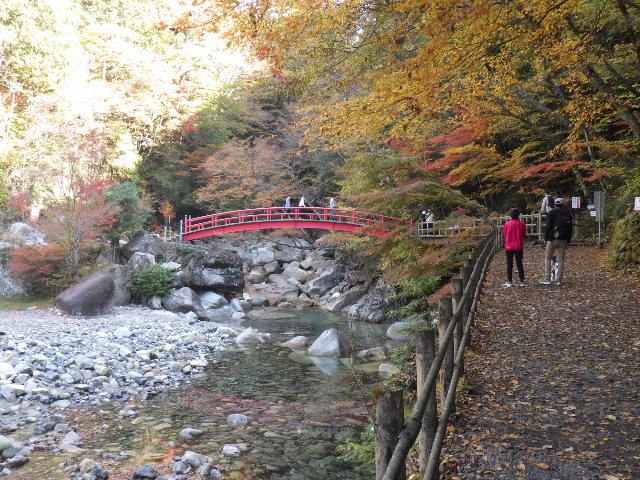 夕森渓谷のもみじイベントの様子その3