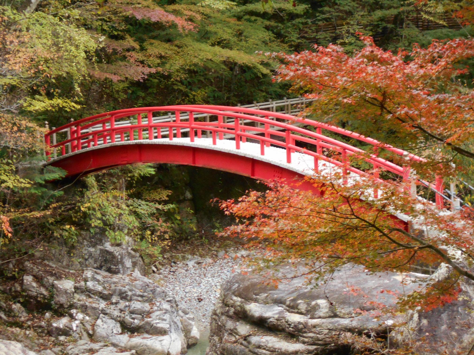 夕森公園もみじ橋の紅葉