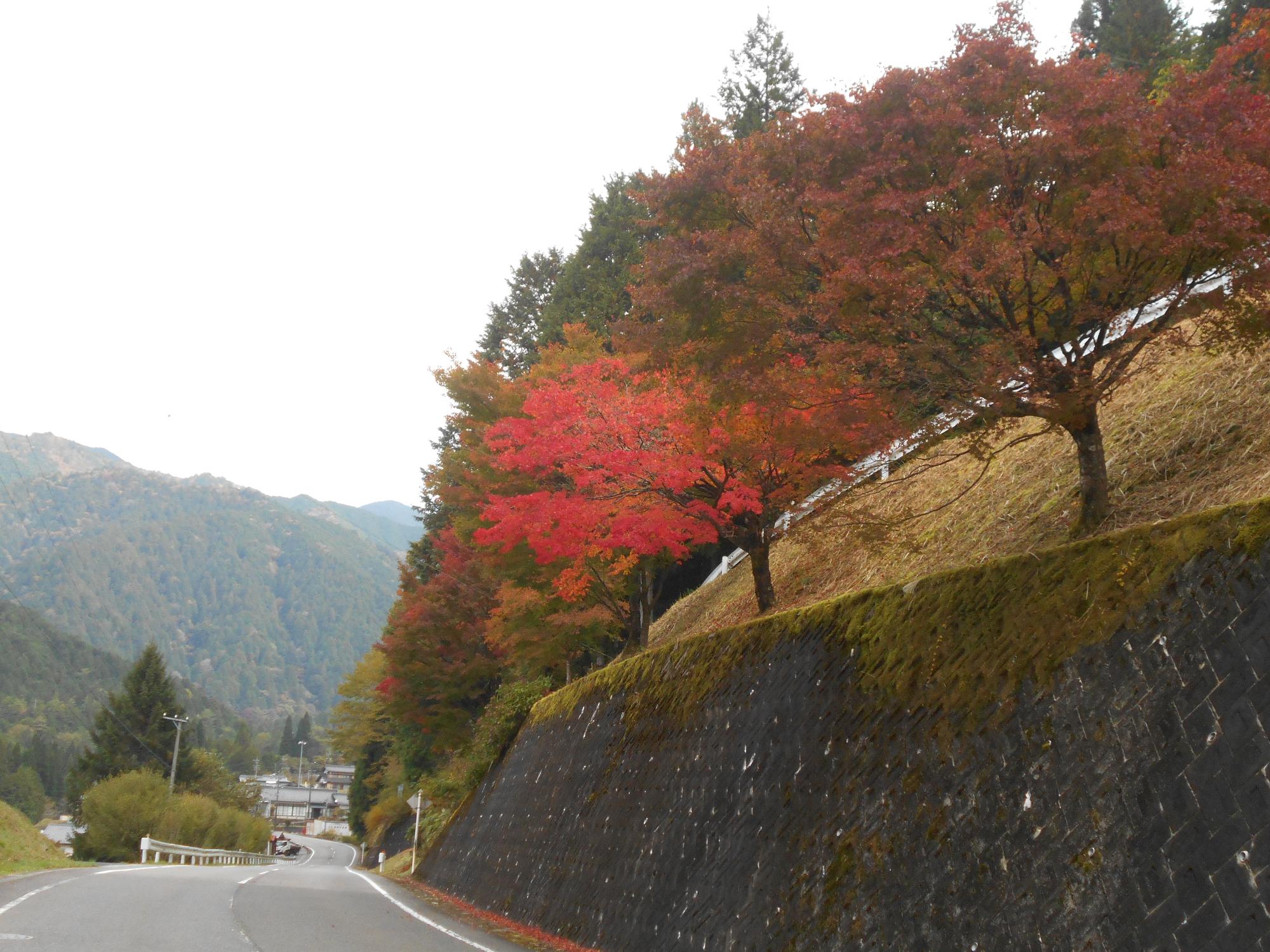 令和4年10月31日夕森渓谷へ向かう県道