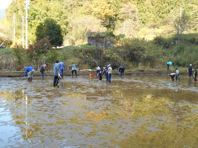 川上小学校スケート場整備の様子その5