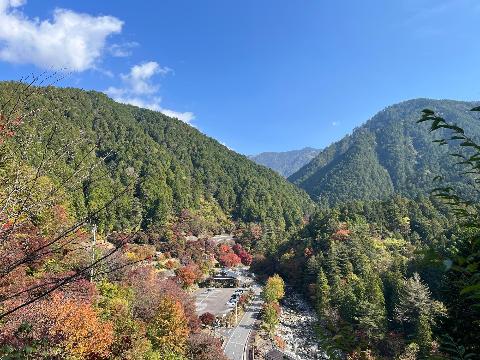 夕森渓谷の紅葉画像その5