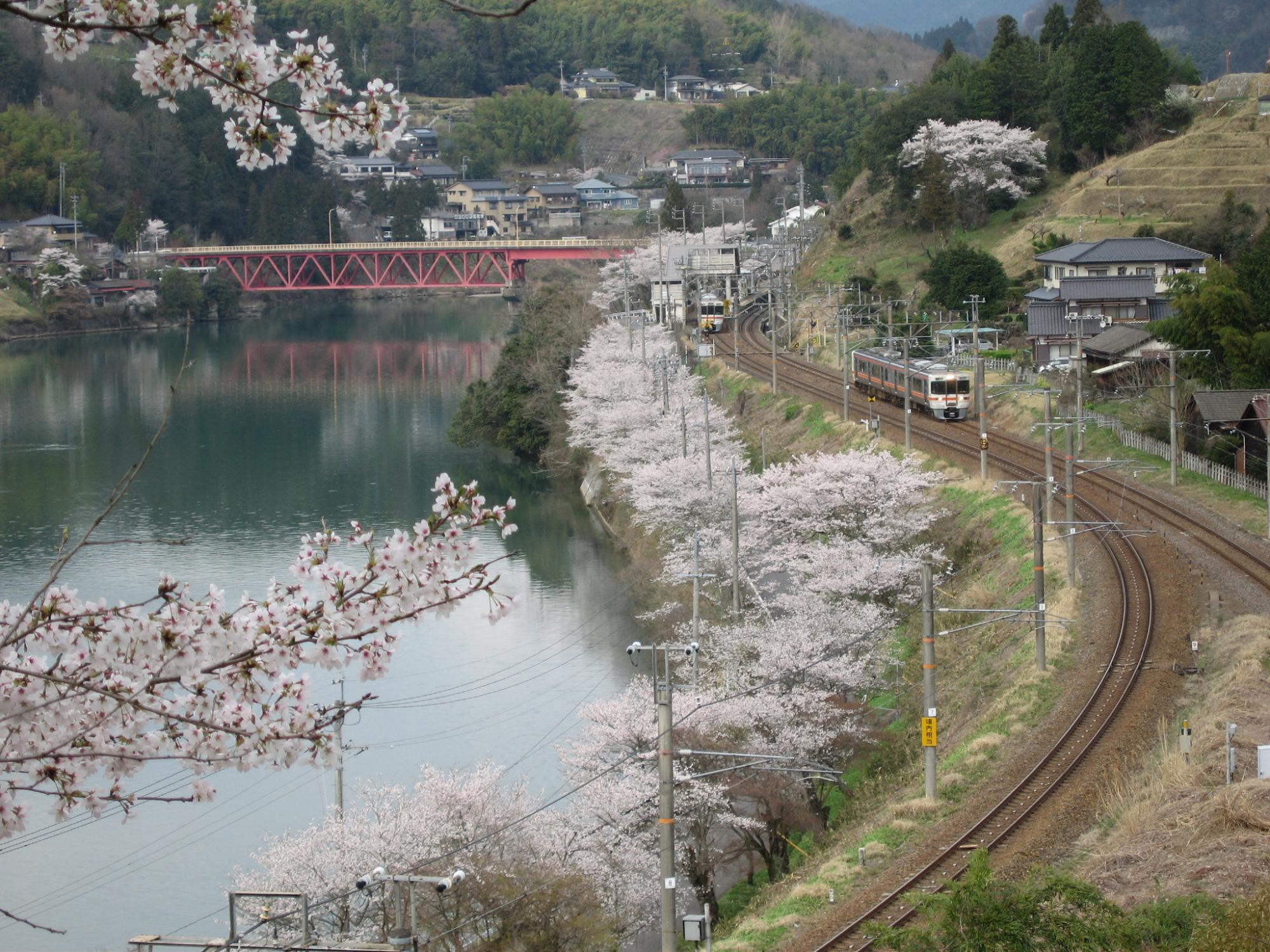 落合峡の春